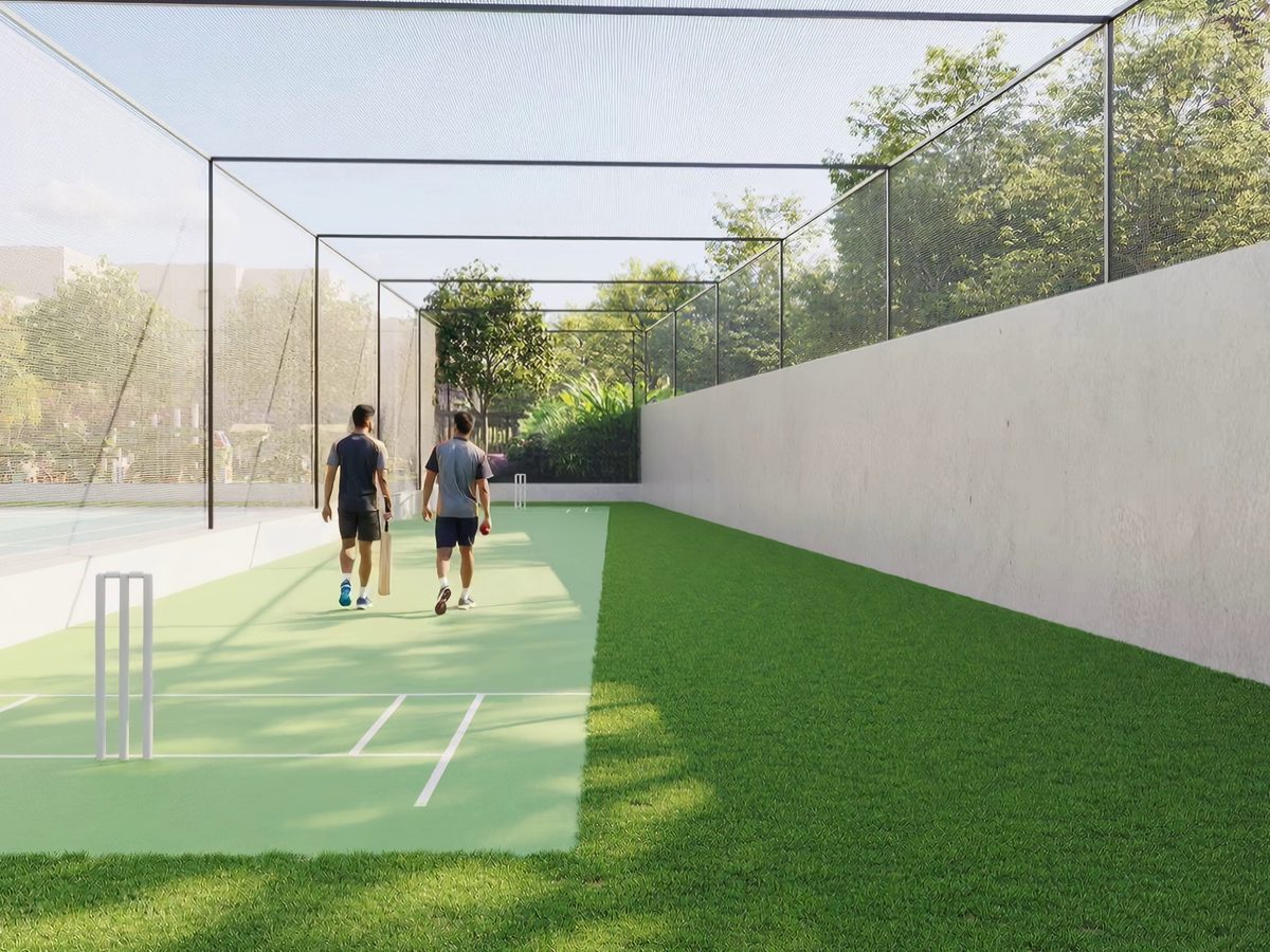 Cricket Turf